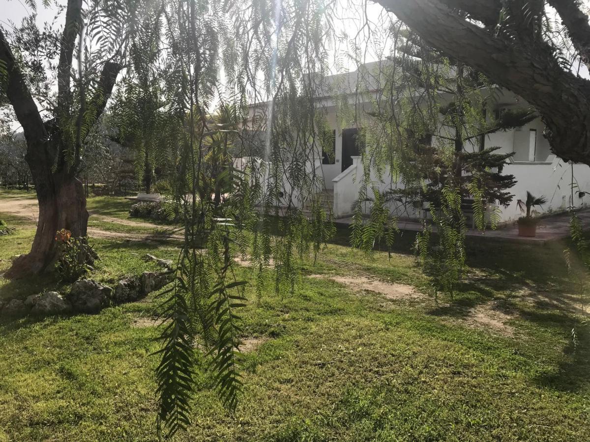 Villa Angela Case Vacanza Vieste Eksteriør billede