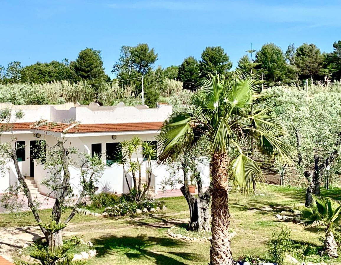 Villa Angela Case Vacanza Vieste Eksteriør billede