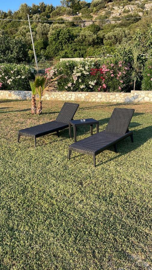 Villa Angela Case Vacanza Vieste Eksteriør billede